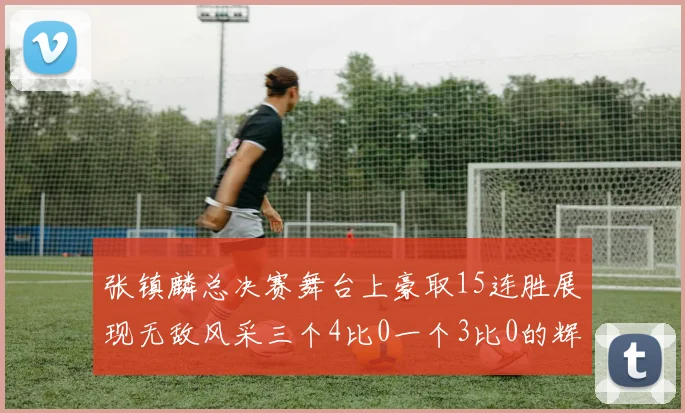 张镇麟总决赛舞台上豪取15连胜展现无敌风采三个4比0一个3比0的辉煌战绩