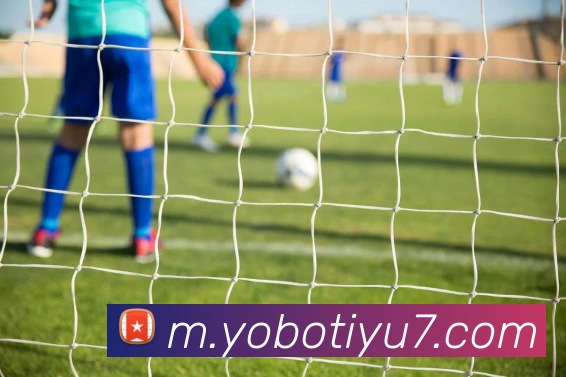 yobo体育APP 封面图